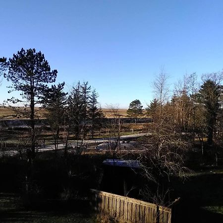 Seeperle 5, Stilvolle Fewo Mit Nordseeblick Sankt Peter-Ording Exterior foto